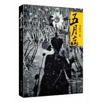 音像五月病黄佩华