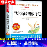 尼尔斯骑鹅旅行记 [正版]小英雄雨来管桦着 四年级下册阅读课外书必读的书目快乐读书吧三至六年级上册书籍小学人民老师教育出