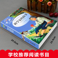 [M]科学家的故事 美绘版-9787533044886