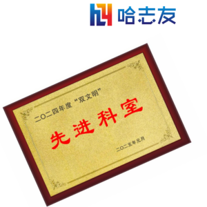 哈志友豪华砂金奖牌定制质量好,工艺先进,设计新颖