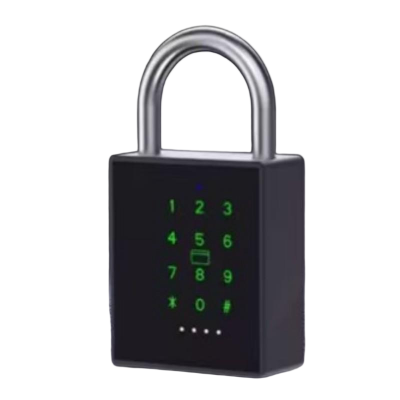 Raychonix 5G物联智能锁 RC-ITLK500 个