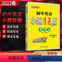 英语 九年级下 [正版]江苏版2023春恩波教育小题狂做巅峰版初中英语九年级下册译林版 初三9年级下同步辅导资料练习册苏