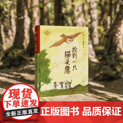捡到一只猫头鹰精装 中国童年故事绘 儿童游戏故事书 童年 儿童成长课外阅读故事书