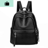 双肩包女2020新款潮韩版百搭时尚软皮女士小背包大容量学生女书包NEW LAKE 黑色