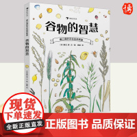 盛口满的手绘自然图鉴:谷物的智慧 中国友谊出版公司