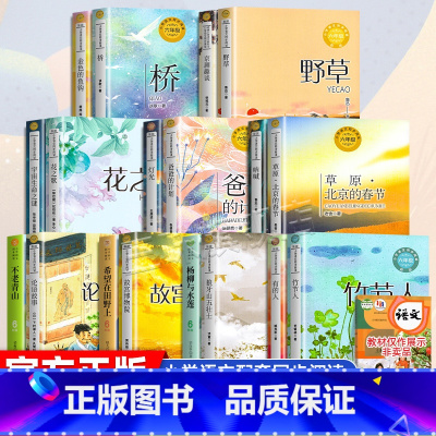 [全18册]六年级上册同步阅读 [正版]六年级上册必读课外书 竹节人草原北京的春节宇宙生命之谜花之歌狼牙山五壮士京剧趣谈