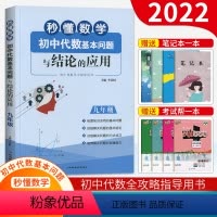 数学 [正版]秒懂数学初中代数基本问题与结论的应用九年级 初中9年级上下册数学新思维同步强化训练练习必刷题 初三代数全攻