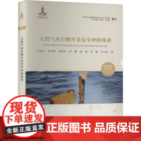 天然气水合物开采安全评价技术 宋永臣 等 著 中国石油大学出版社 能源科学 石油 天然气工业