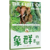 [N]象群的首领/百年传世动物文学书系-9787229145026