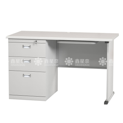 鑫星奈 XXN4010343 钢制办公桌职员桌员工桌学生写字台1.2米D款