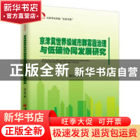 正版 京津冀雾霾治理与低碳协同发展研究 陆小成著 中国经济出版