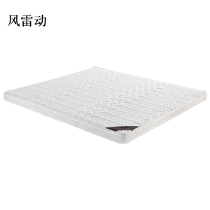 风雷动椰棕床垫家用棕垫C8cm3D(0胶水天然椰棕+2cm乳胶+软硬两用+全拆洗)1000mm*2000mm
