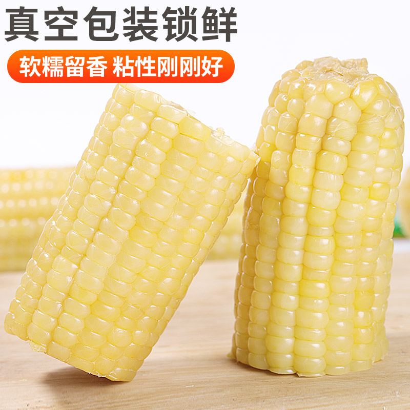 [西沛生鲜]新鲜白糯玉米 8根 单根260-350g 黏玉米甜糯玉米袋装粘玉米黄糯玉米现摘