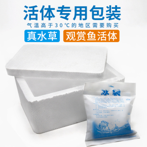 小圆叶水鱼缸水族箱造景装饰品植物前景懒人新手真迷你