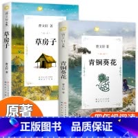 [2本]青铜葵花+草房子 [正版]青铜葵花完整版原版曹文轩系列儿童文学8-12岁小学生课外阅读书籍必读草房子芦花鞋人教版