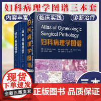 [全3册]妇科病理学图谱原书第4版+妇产科病理学第三3版上下卷 妇科学病理诊断肿瘤学临床显微疾病病理学妇科常见疾病书籍