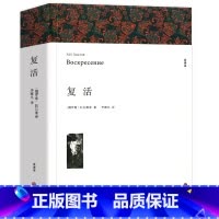 复活[完整版] [正版]上下2册无删减 大卫科波菲尔 原著完整版宋兆霖翻译 高中阅读课外阅读书籍全套 高中生高一语文课外