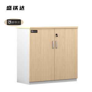 盛铁达 2门矮柜800*400*800mm STD-XTA01 个