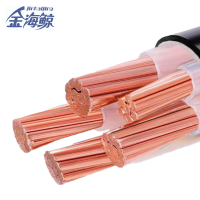 金海鲸 阻燃铠装铜电缆ZCYJV222×2.5 米