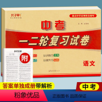 [正版]2024年中考语文复习试卷通用版卷子配答案中考一二轮复习教辅书同步测试+专项训练789七八九年级中考总复习资料