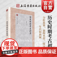 历史时期考古初辑 北京大学考古学丛书 杨哲峰 著上海古籍出版社