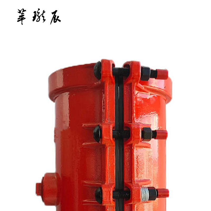 萃珑辰 球墨铸铁哈夫节(包塑料管)DN110*200 个