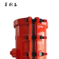萃珑辰 球墨铸铁哈夫节(包塑料管)DN110*200 个