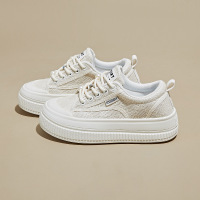 秋季帆布鞋小白鞋新款韩版ins女学生厚底增高休闲鞋板鞋