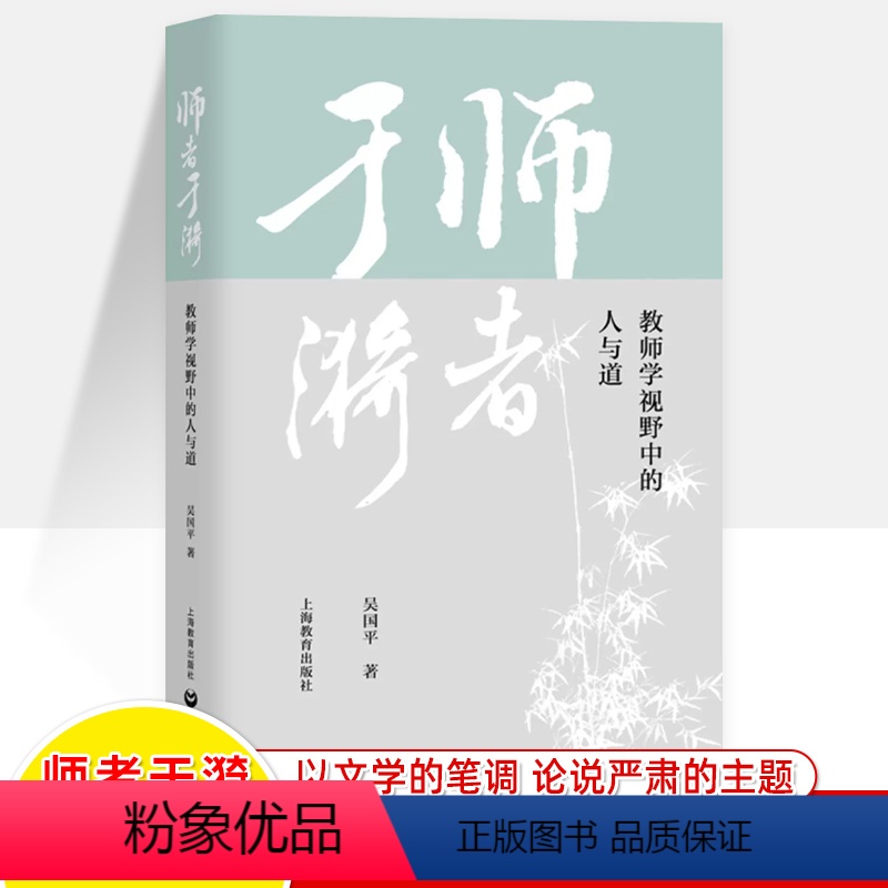 [正版]师者于漪 教师学视野中的人与道 吴国平师道研究 教师专业成长书籍教育理论教自我修养教师培训教师教学用书 上海教