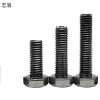 志浪 六角头螺栓12*80 个