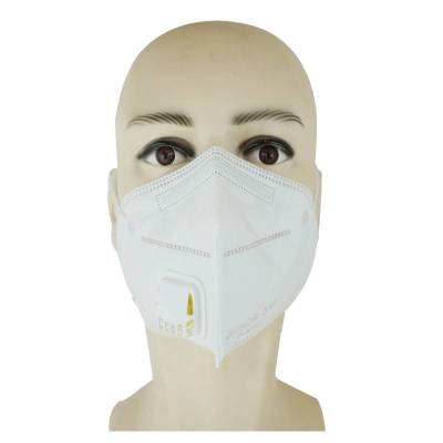 洋蝲蝲 防护口罩 KN95 支
