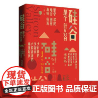 硅谷是个什么谷9787540787042 虎皮妈漓江出版社有限公司小说长篇小说中国当代书籍