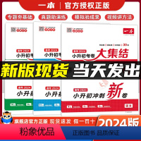 (全6册)[语文+数学+英语]冲刺新卷+考卷大集结 小学升初中 [正版]小升初真卷2024六年级小升初总复习语文数学英语