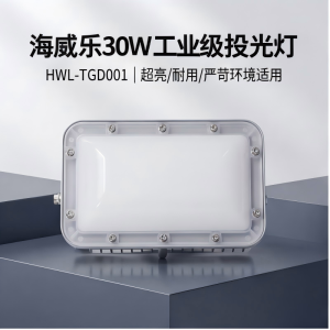 海威乐 30w超亮投光灯HWL-TGD001
