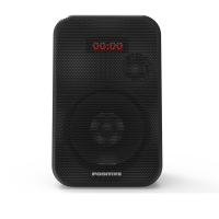 戴阳网络广播主音箱PT-3260C(拍前需联系客服)