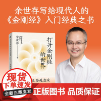 打开金刚经的世界 余世存著 余世存2024年重磅新作 体悟助无数人走出人生困局的智慧之源 哲学