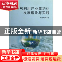 正版 天然气利用产业集约化发展理论与实践 周志斌等著 科学出版