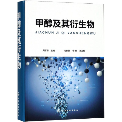 醉染图书甲醇及其衍生物9787121760