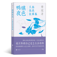 醉染图书鸭镇夜色:王奎张亮故事集9787559657343