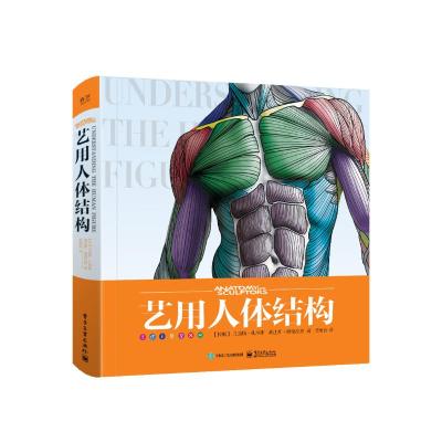 [绘画乞讨人贵哥推荐]艺用人体结构理解形态人体结构绘画书籍教学造型手绘技法素描速写临摹入零基础自学漫画教程书预售^