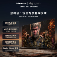海信电视100E8N Ultra 100英寸Mini LED DeepSeek 电视机液晶家用 家电补贴