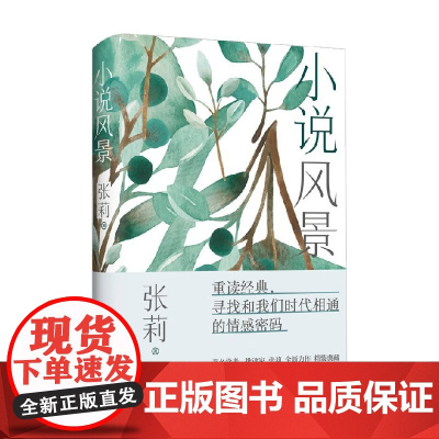 小说风景 张莉 著 情感密码文学