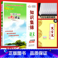 语文 小学通用 [正版]2024新版小学语文知识集锦四川专版 小升初知识大集结培优宝典让孩子从此爱上语文 小学生四五六年