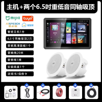 先科(SAST)智能AI家庭吸顶音响套装家用客厅无线蓝牙吊顶(内置精灵)智能语音主机+2个6.5英寸重低音同轴吸顶音响
