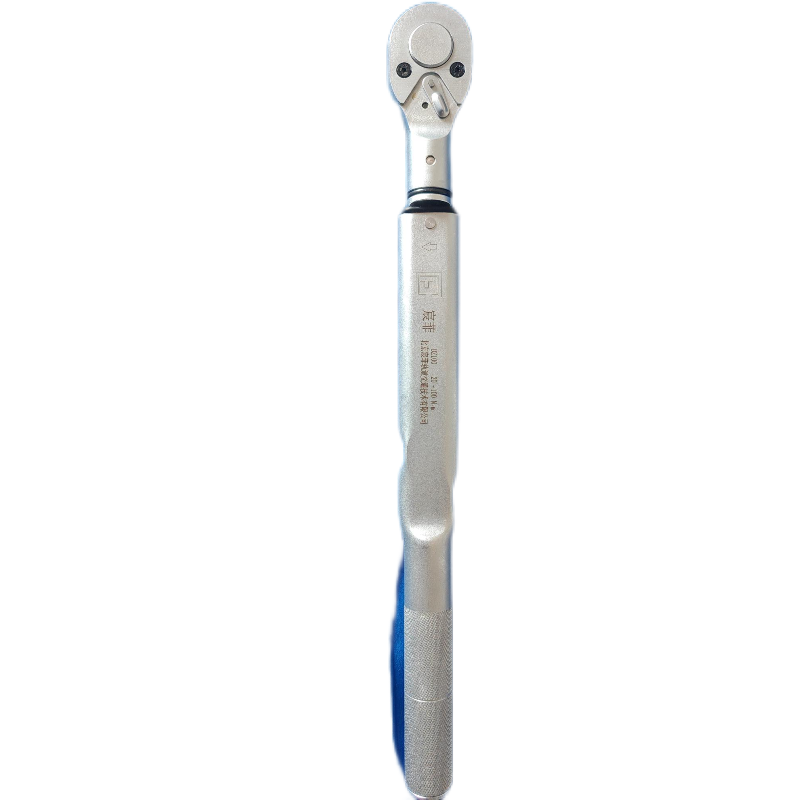 宸菲 扭矩扳手DZ2-DZ500 把(DZ-20-100)(货期请咨询客服)