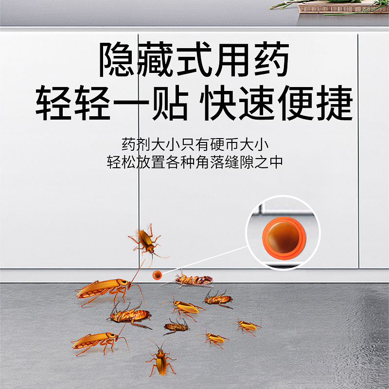 杀蟑螂药家用非无毒孕妇婴儿一窝全窝端灭绝杀一扫尽神器正品饵贴3759A