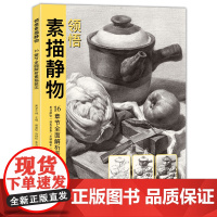 美学大师 领悟素描静物书籍 大八开临摹范本入门经典教材 组合画sh