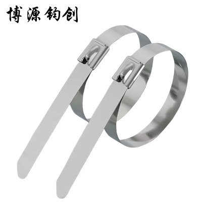 博源钧创 304不锈钢扎带 4.6*450MM 根