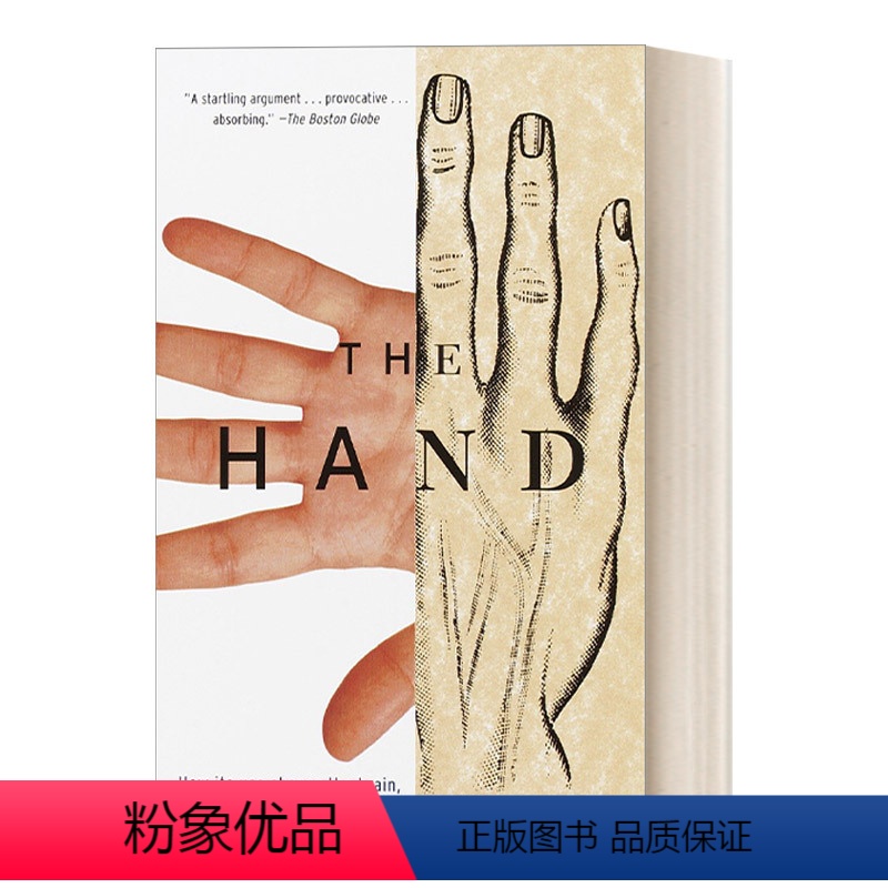 [正版]英文原版 The Hand 手 手的使用如何塑造大脑、语言和人类文化 人类学 生命科学 Frank R. Wi