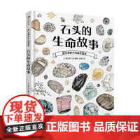 盛口满的手绘自然图鉴 石头的生命故事 盛口满 编著 科普